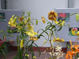 Foto: Dr. Peter Müller